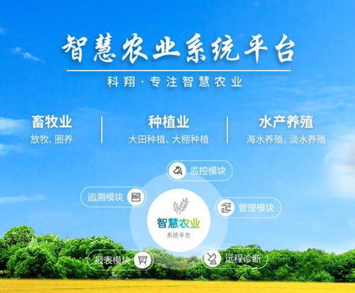 计算机技术赋能农机工业 从智能咨询到数字化转型