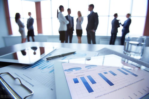 信息化浪潮下的企业信息化管理 概念、内涵与技术咨询的桥梁作用